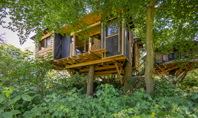 Baumhaus Hotel - Drei Eichen IV